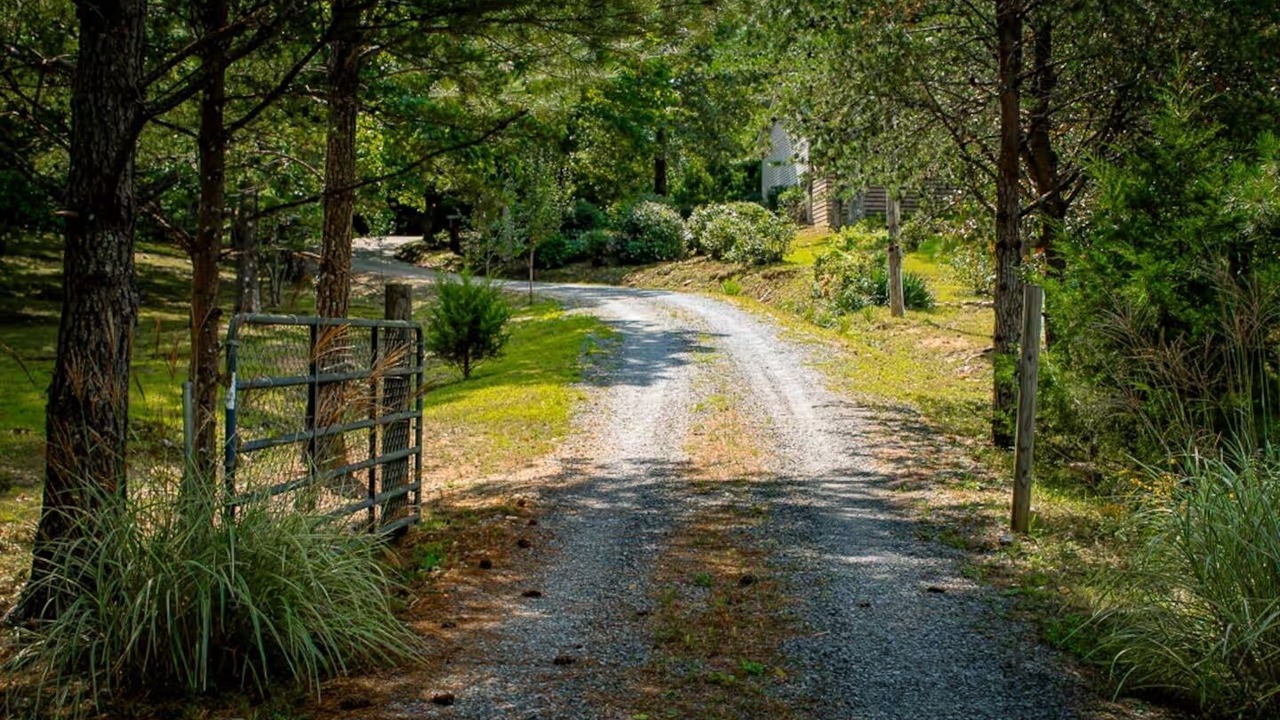 Photo of Others in Mentone