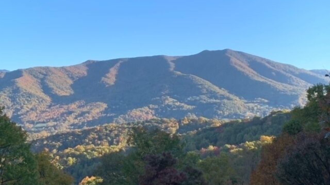 Photo of Others in Waynesville