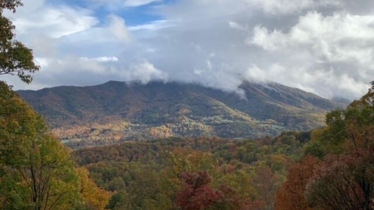 Photo of Others in Waynesville