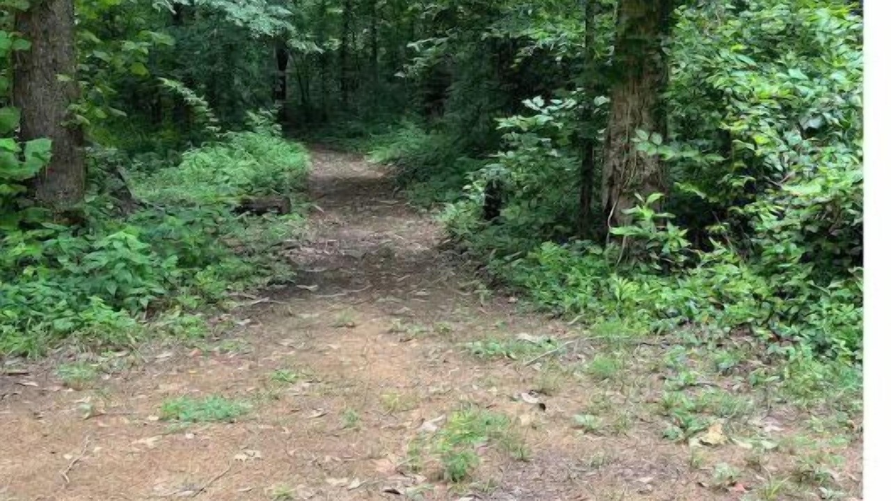 Photo of Outdoor in Jamestown