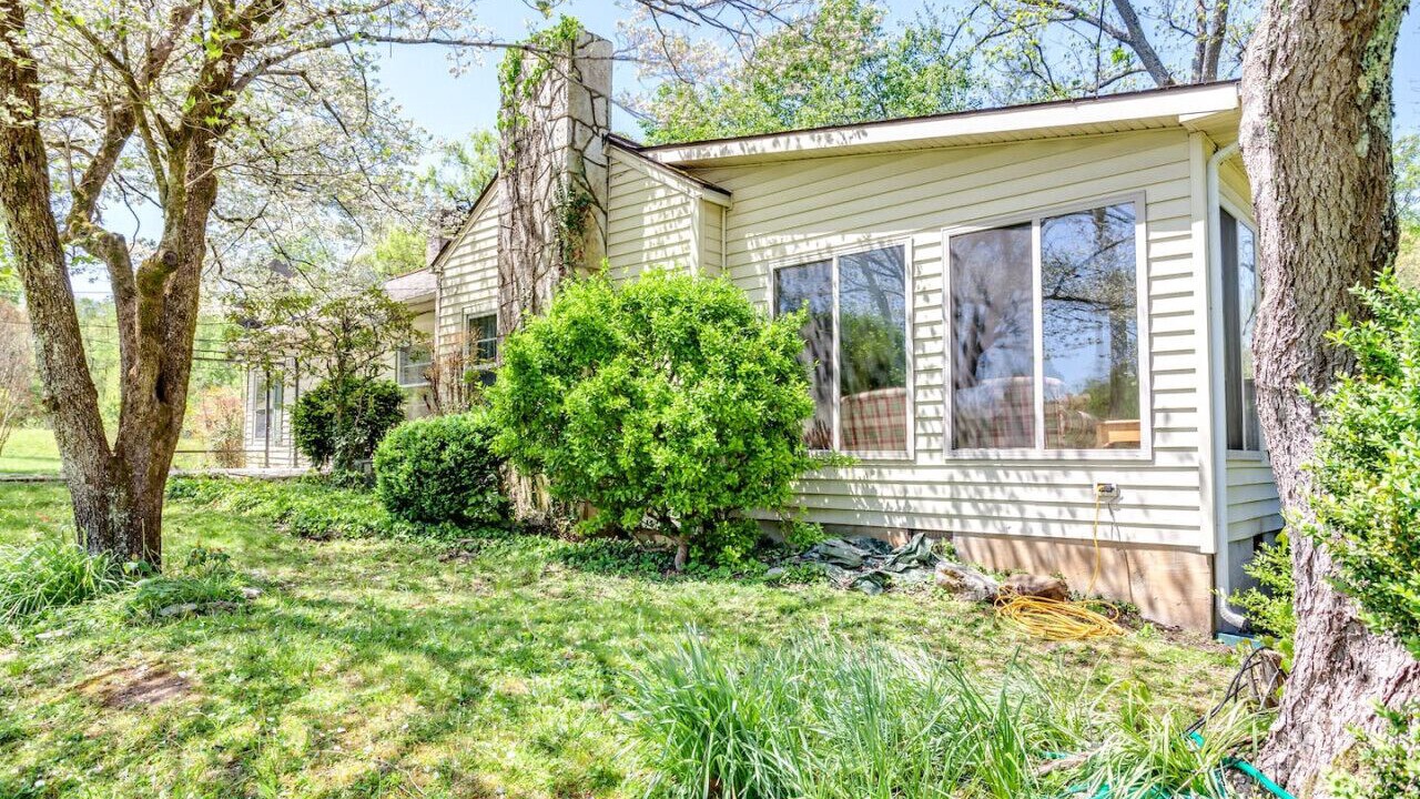 Photo of Outdoor in Speedwell