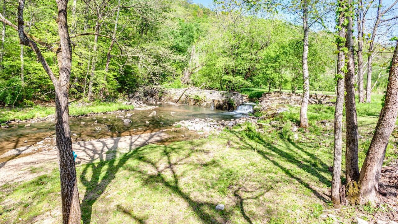 Photo of Outdoor in Speedwell
