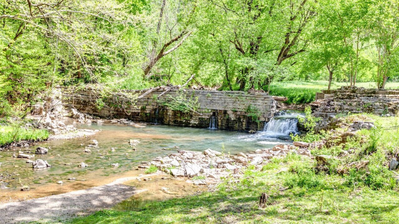 Photo of Outdoor in Speedwell