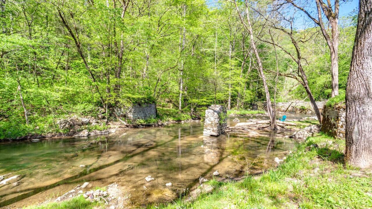 Photo of Outdoor in Speedwell