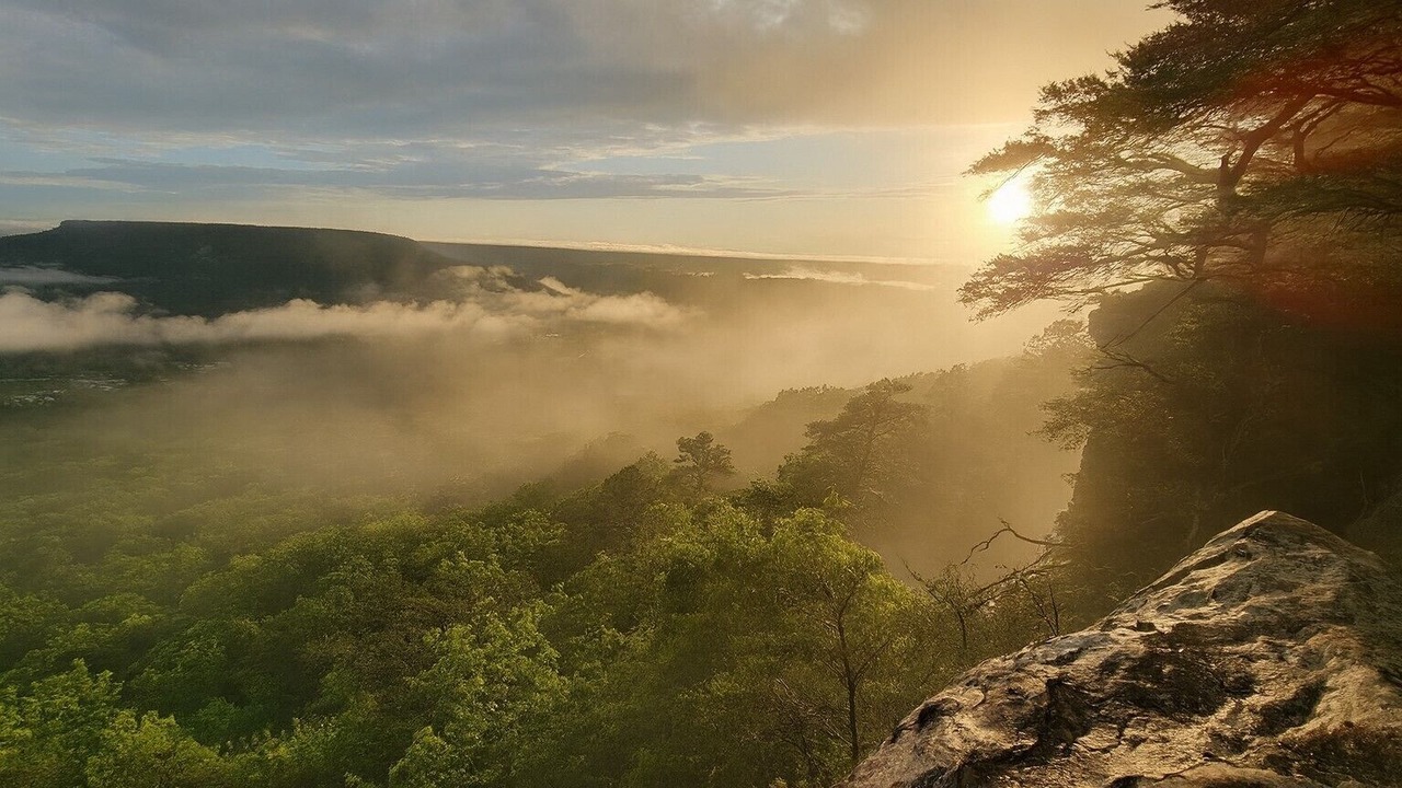 Photo of Others in Rising Fawn