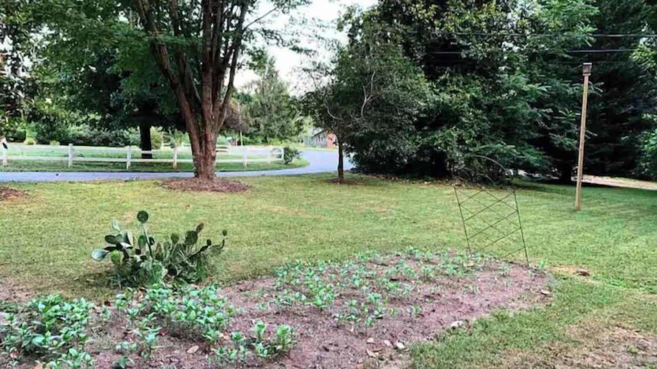 Photo of Outdoor in Asheville