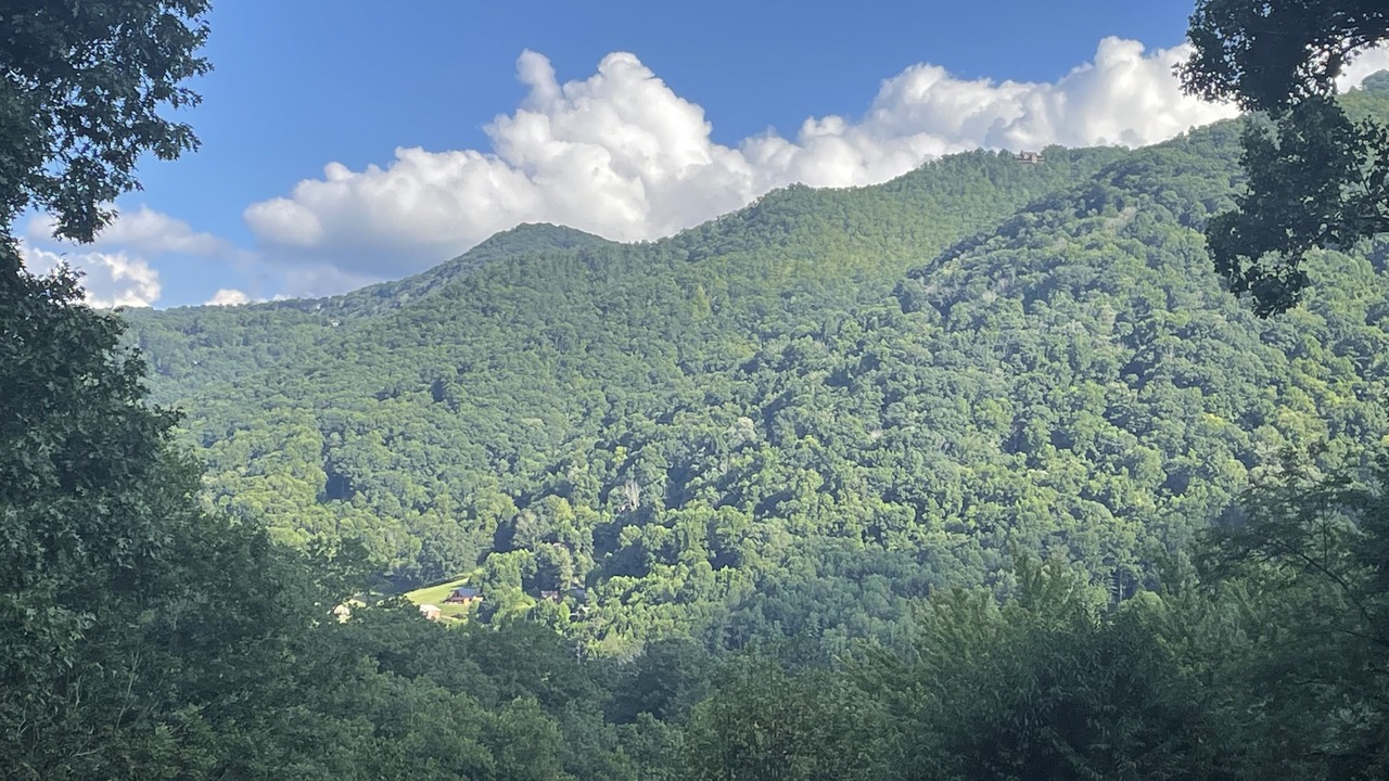 Photo of Others in Maggie Valley
