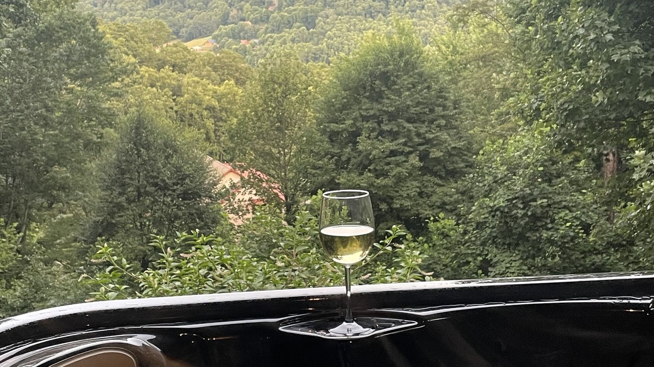 Photo of Others in Maggie Valley