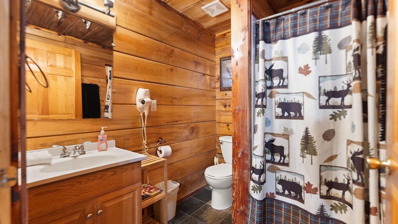 Photo of Bathroom in Rogers