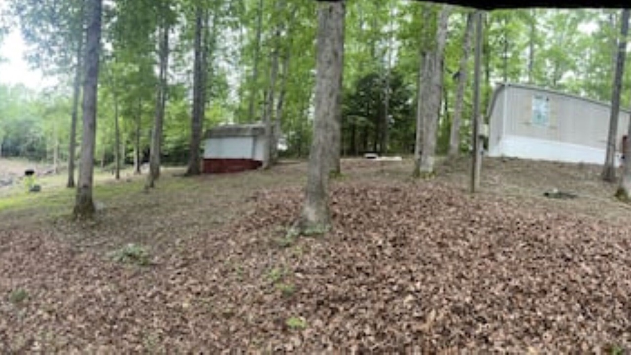 Photo of Outdoor in East Bernstadt