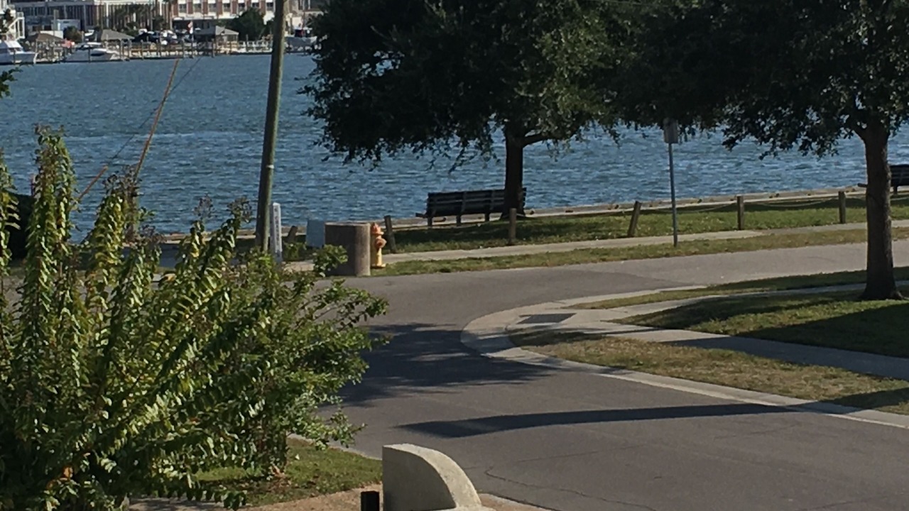 Photo of Others in South Harbor Island