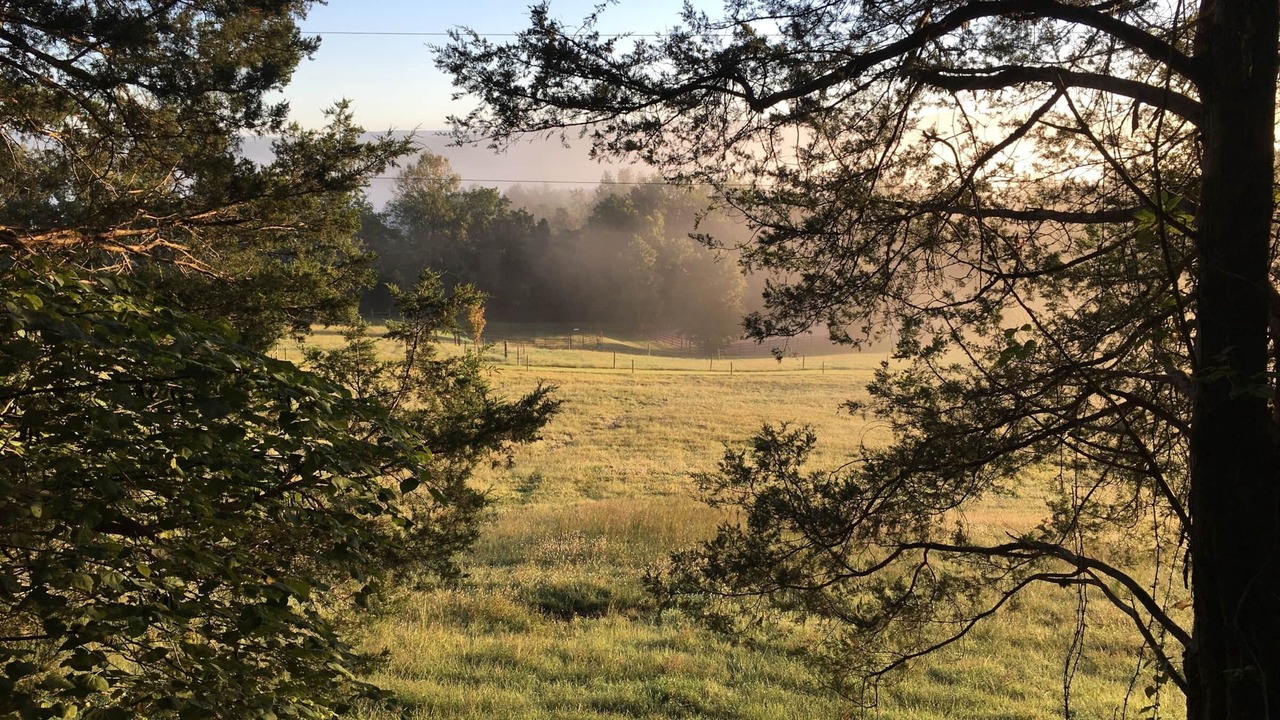 Photo of Outdoor in Sparta