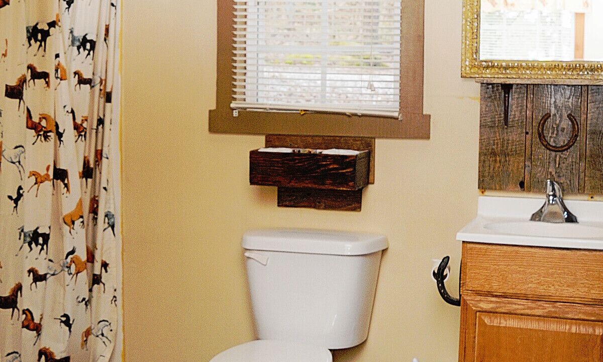 Photo of Bathroom in Sparta