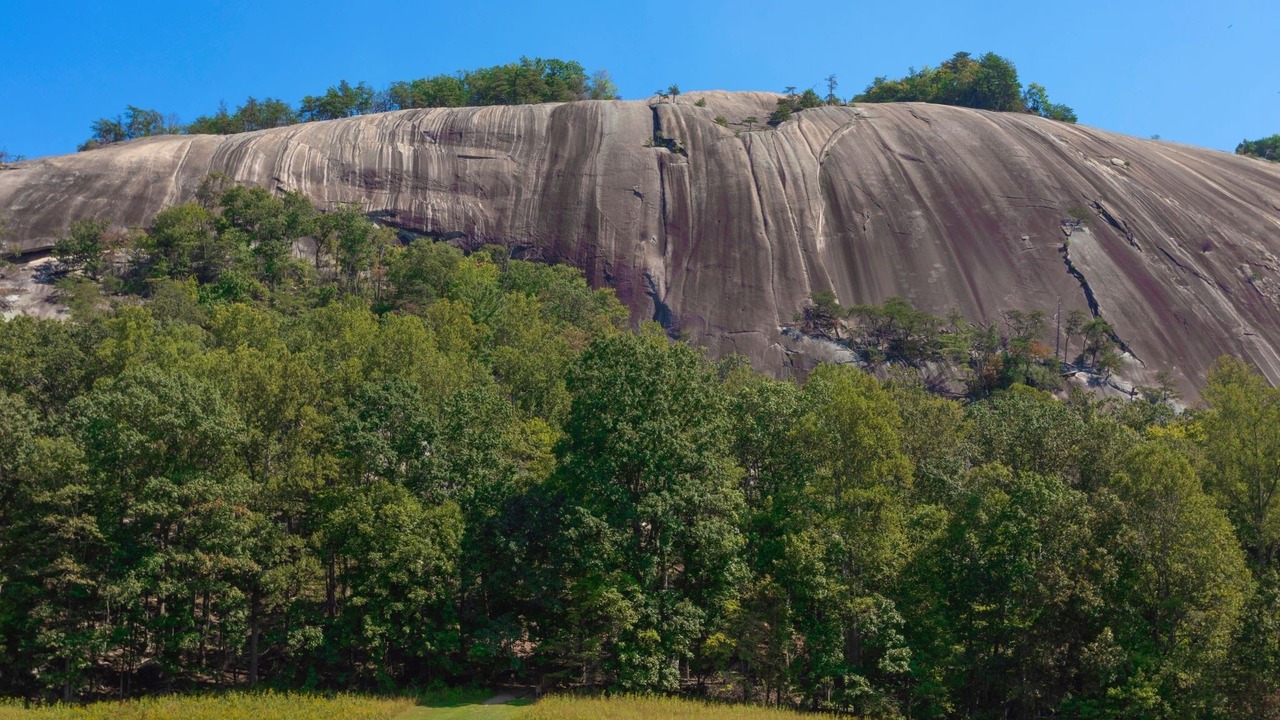 Photo of Others in Traphill