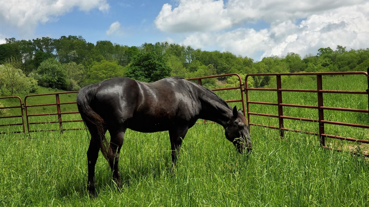 Photo of Outdoor in Lewisburg