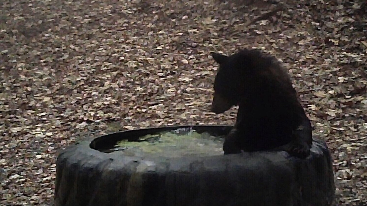Photo of Others in Lewisburg