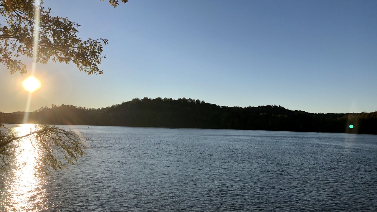 Photo of Others in Flatwoods