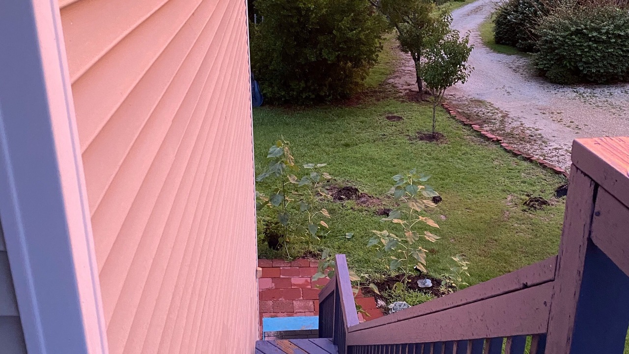 Photo of Outdoor in Kitty Hawk