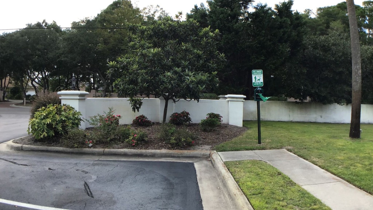 Photo of Outdoor in North Carolina Coast