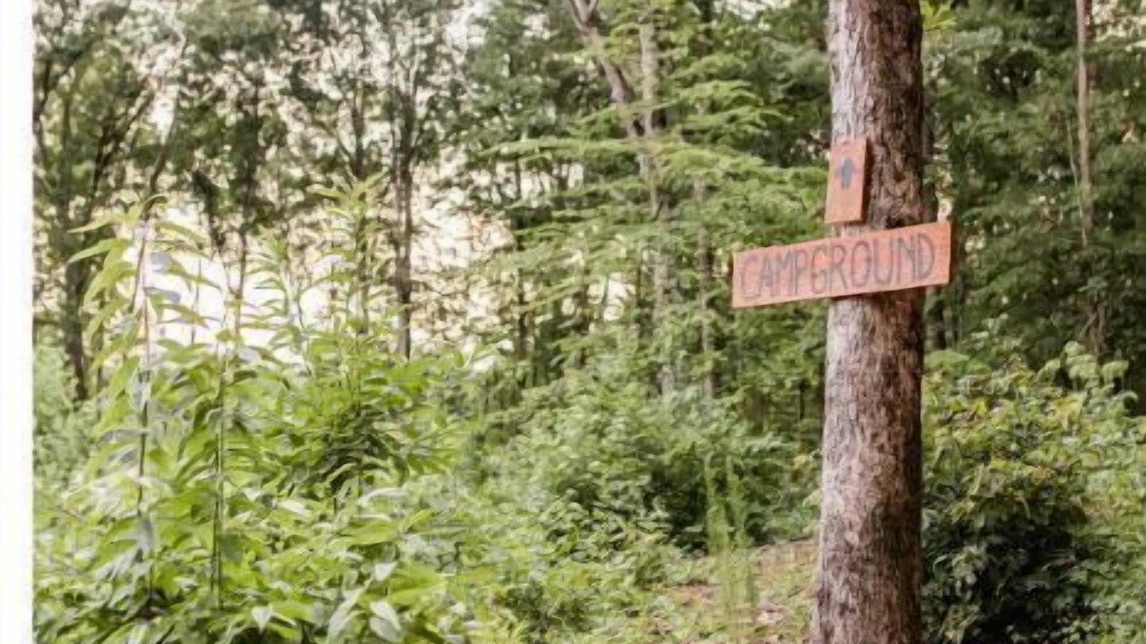 Photo of Outdoor in Travelers Rest