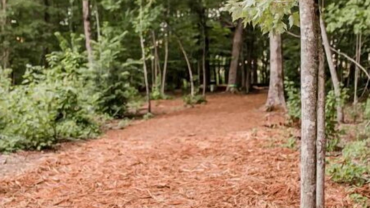 Photo of Outdoor in Travelers Rest