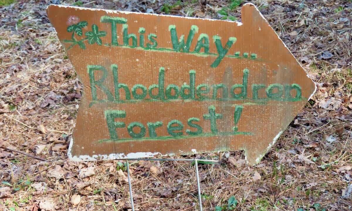 Photo of Others in Brevard
