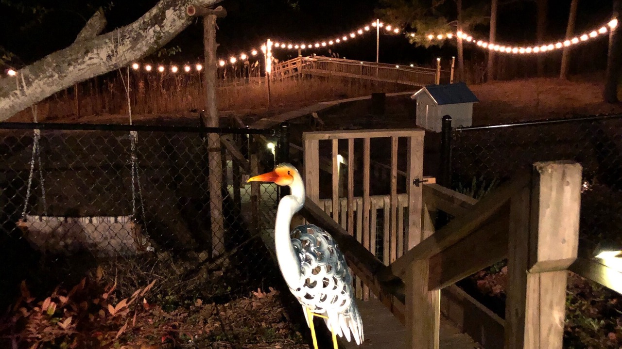 Photo of Others in Long Beach