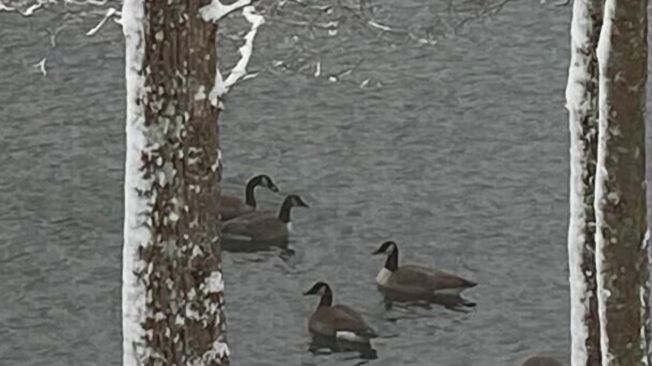 Photo of Others in Jamestown
