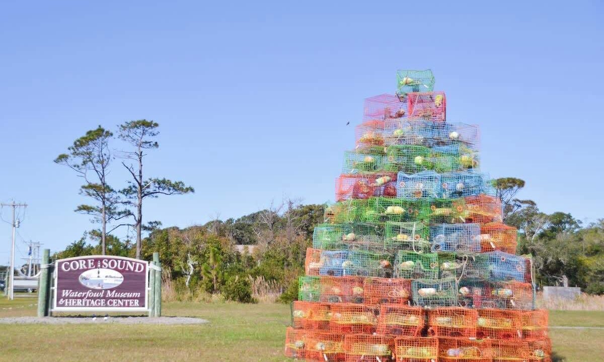 Photo of Outdoor in Harkers Island
