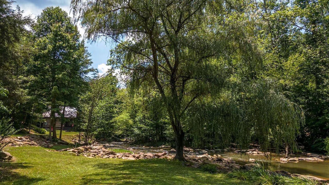 Photo of Outdoor in Goldbond