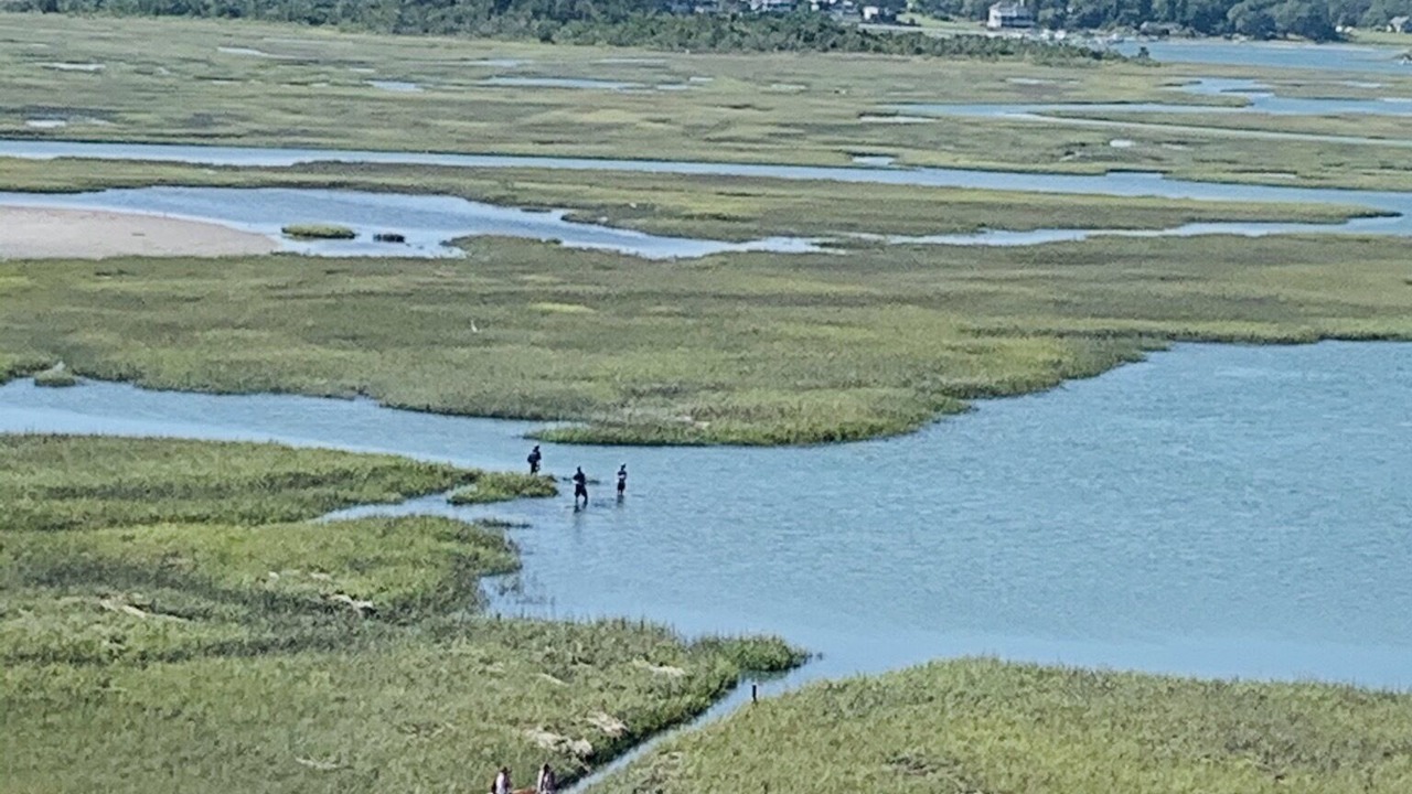 Photo of Others in Inland Greens