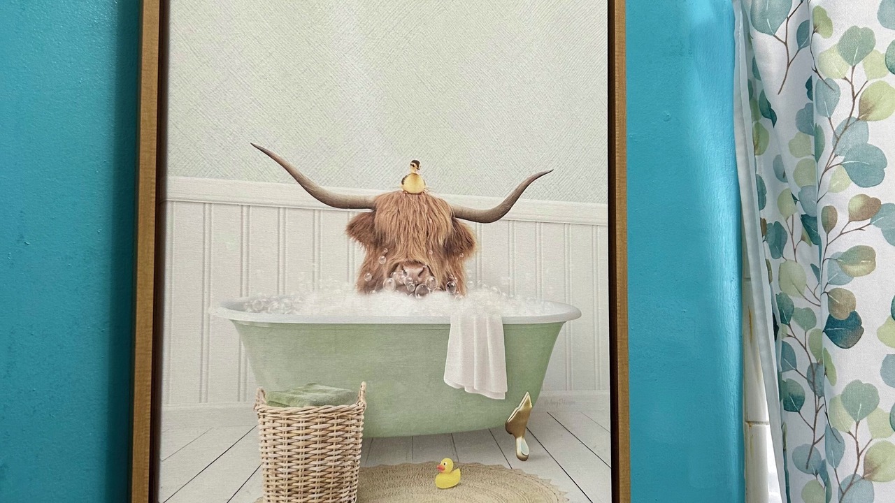 Photo of Bathroom in Burnt Chimney