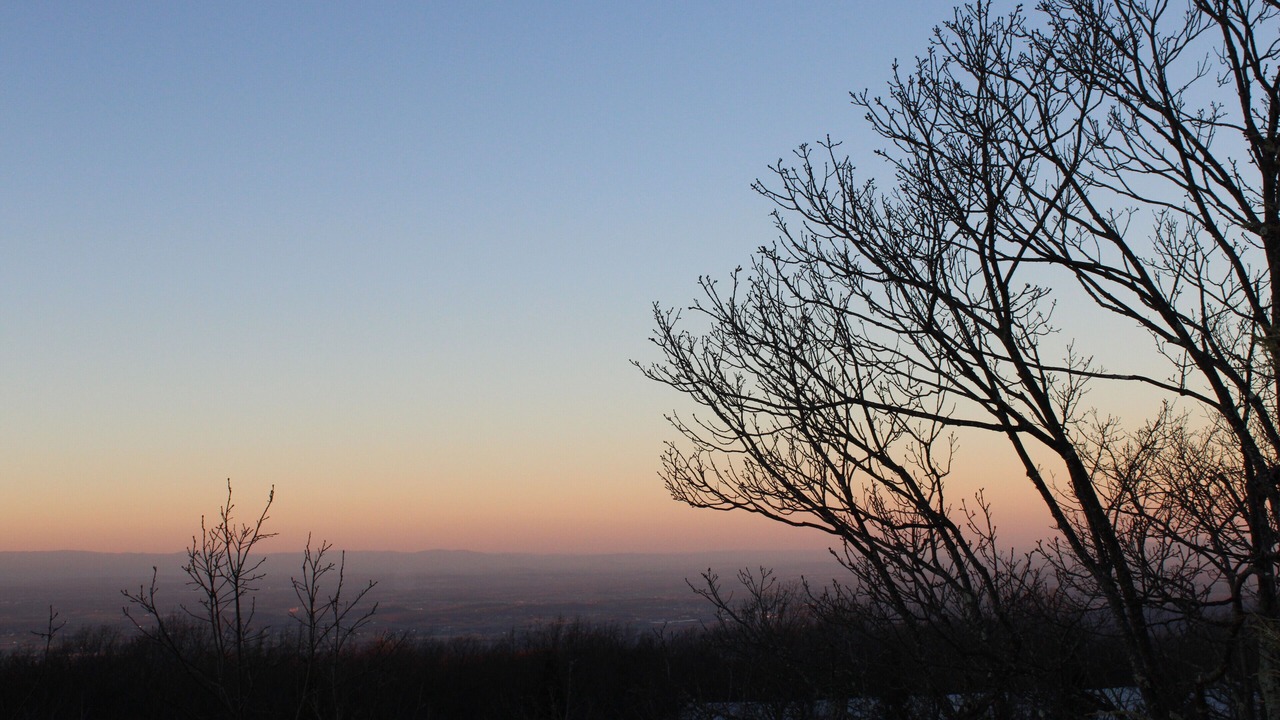 Photo of Others in Nellysford
