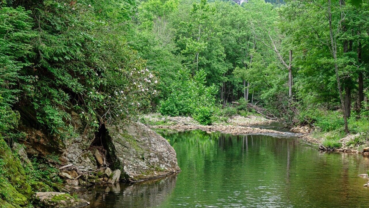 Photo of Others in Burnsville