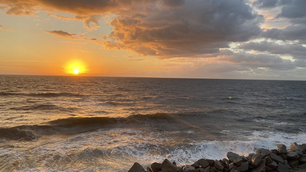 Photo of Others in North Carolina Coast