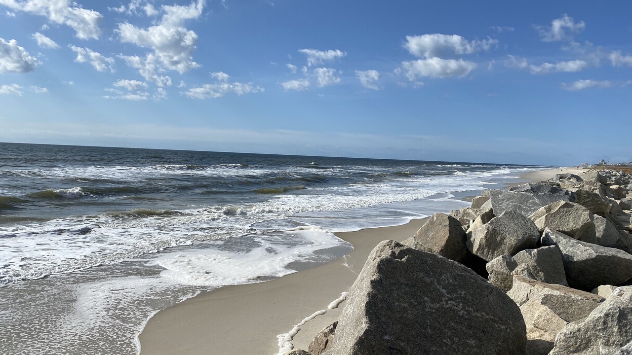 Photo of Others in North Carolina Coast
