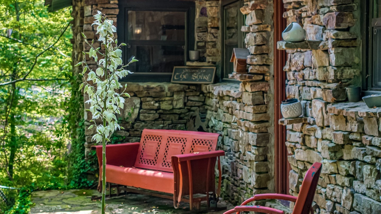 Photo of Patio Balcony in Mentone