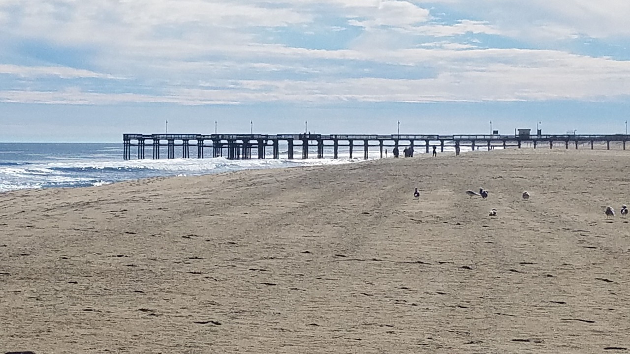 Photo of Others in Sandbridge