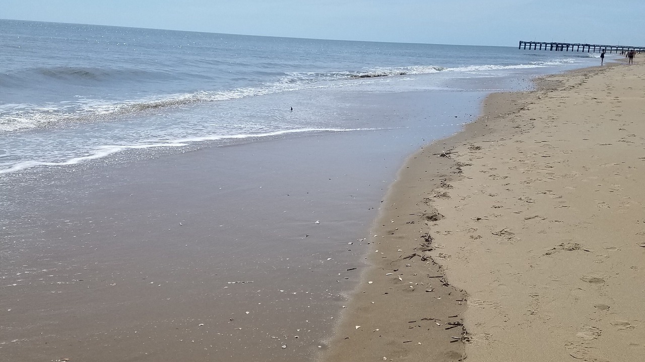 Photo of Others in Sandbridge