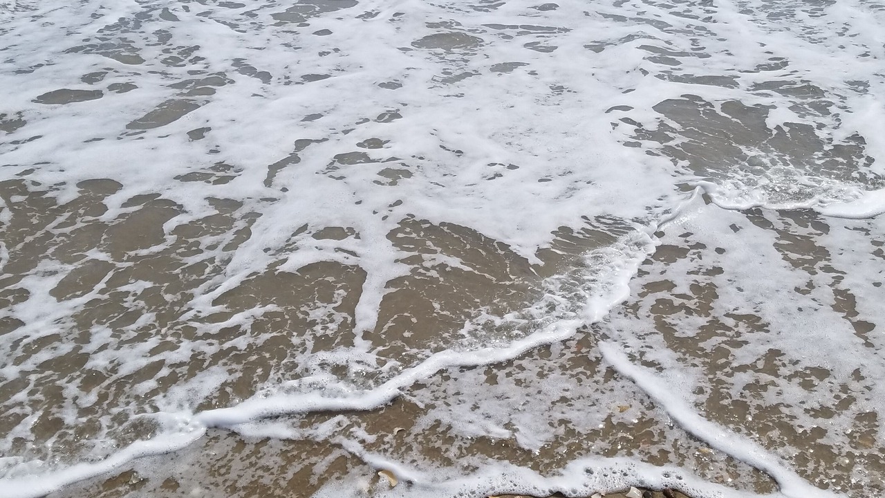 Photo of Others in Sandbridge