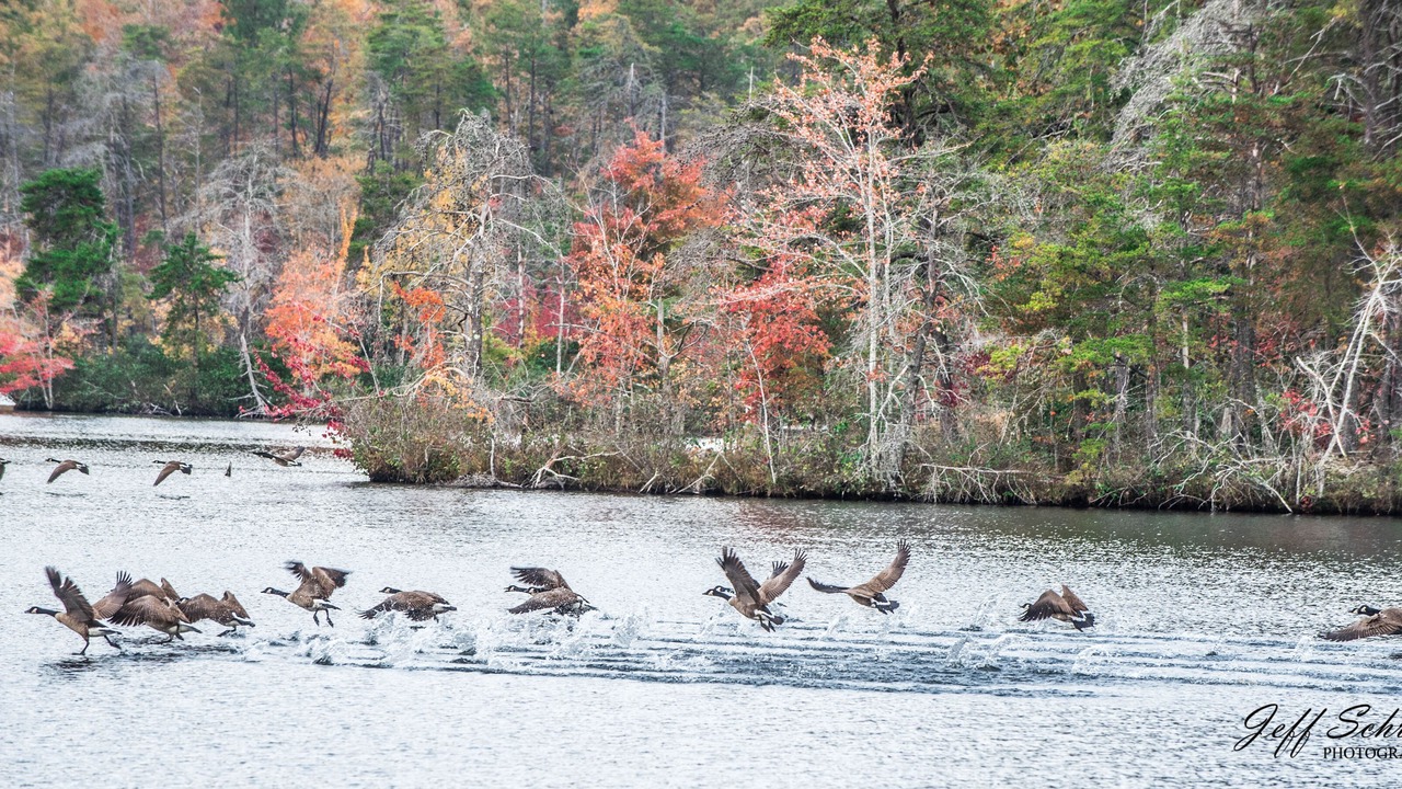 Photo of Outdoor in Muddy Pond