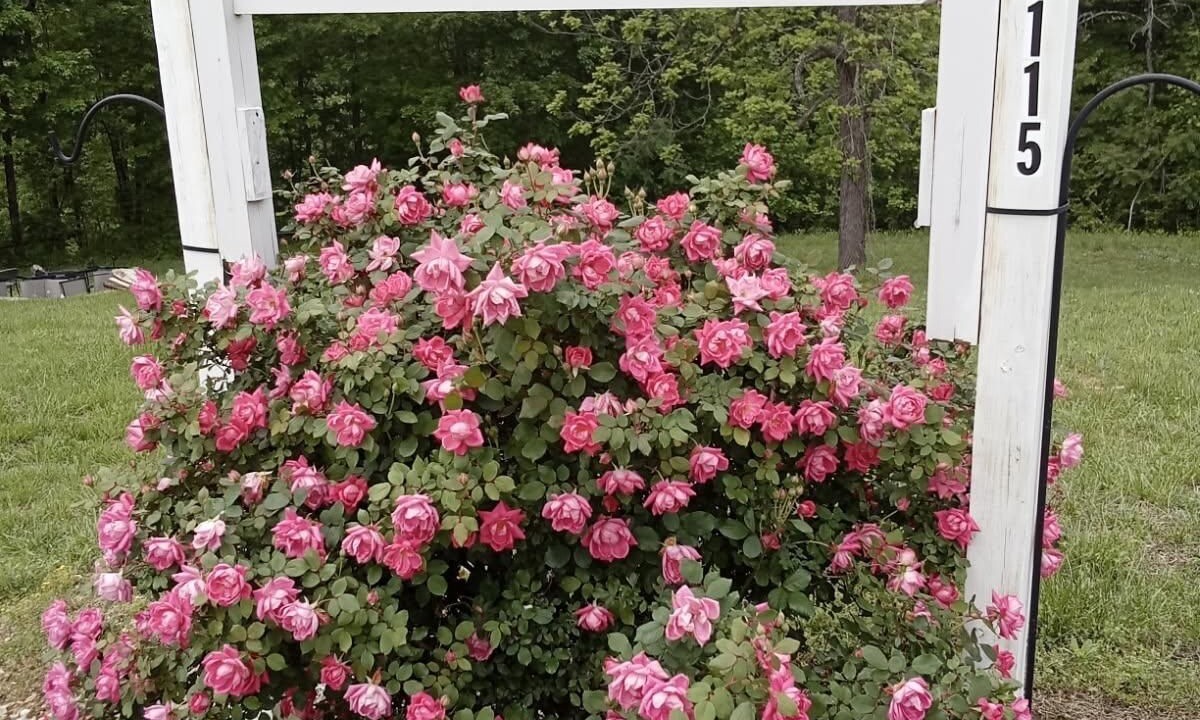 Photo of Outdoor in Monticello
