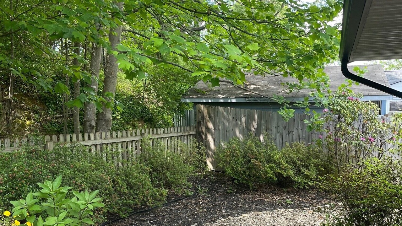 Photo of Outdoor in Brevard