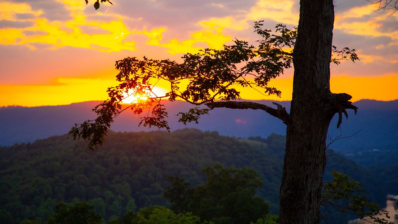 Photo of Outdoor in Big Creek