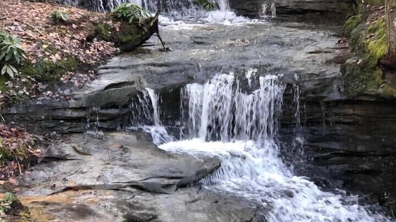 Photo of Outdoor in Revelo