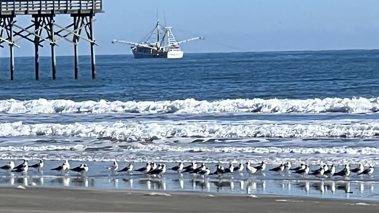 Photo of Others in Sunset Beach
