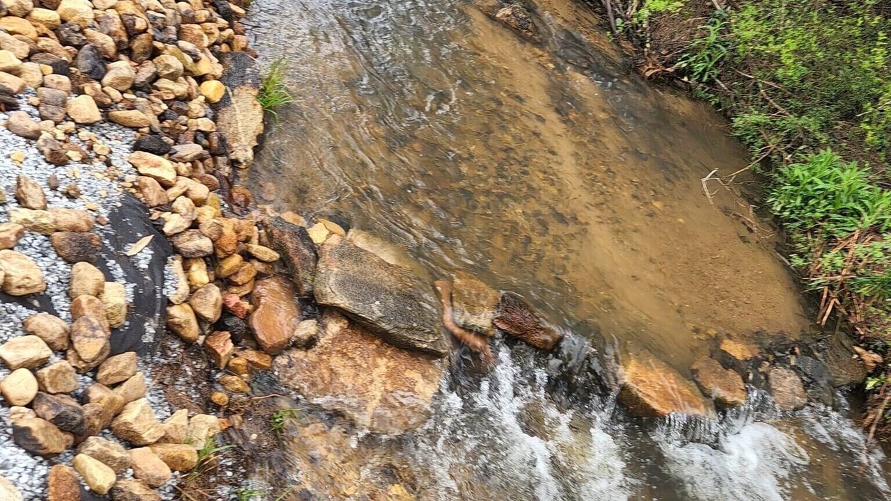 Photo of Others in Pickens