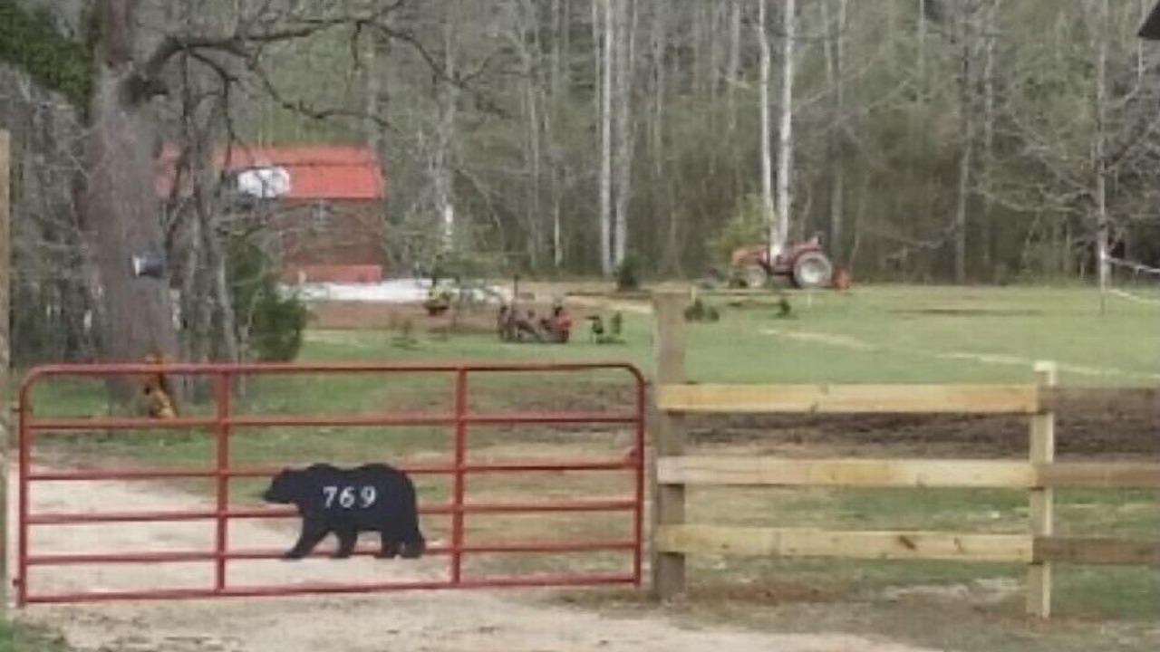 Photo of Others in Pickens