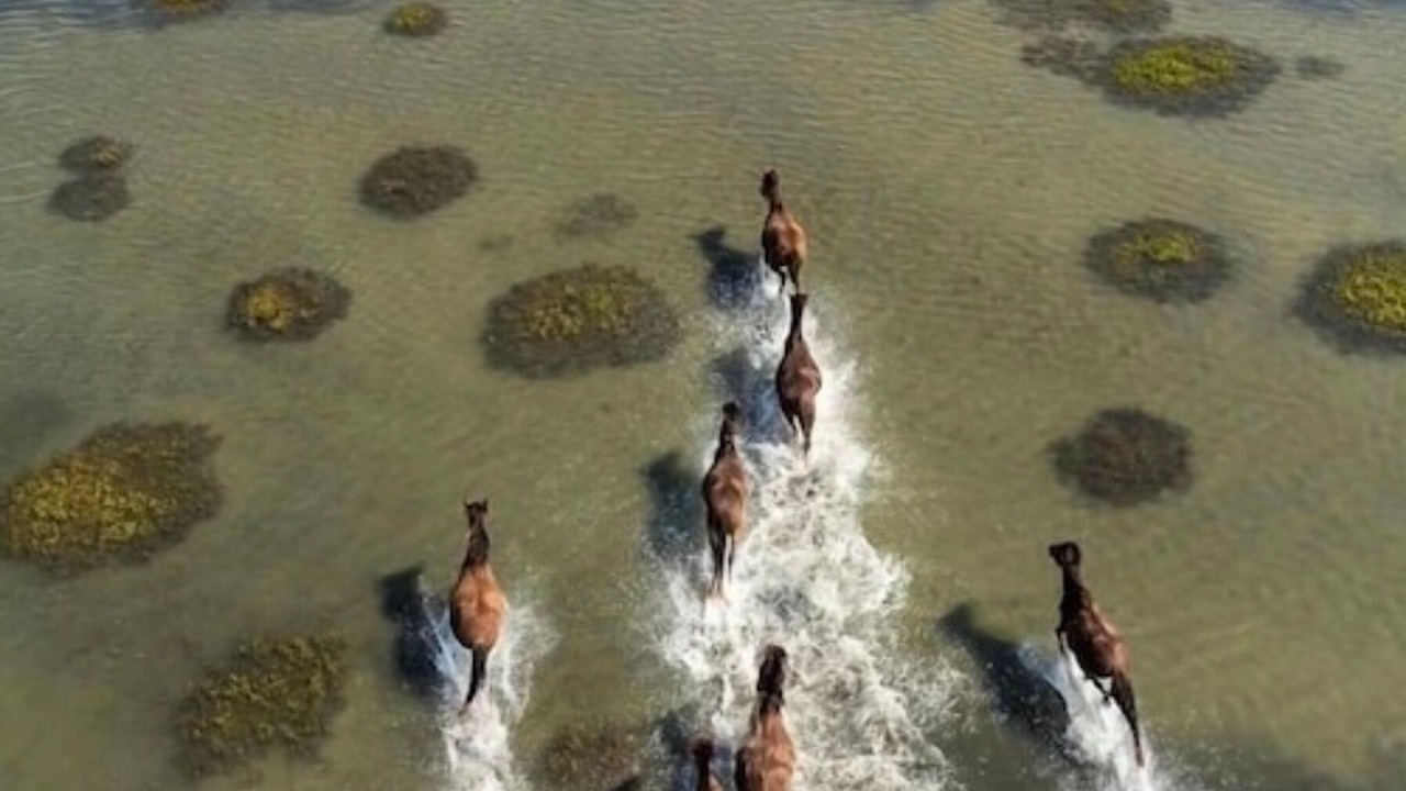 Photo of Others in Morehead City