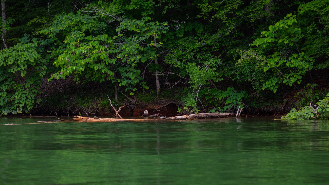 Photo of Outdoor in Big Creek